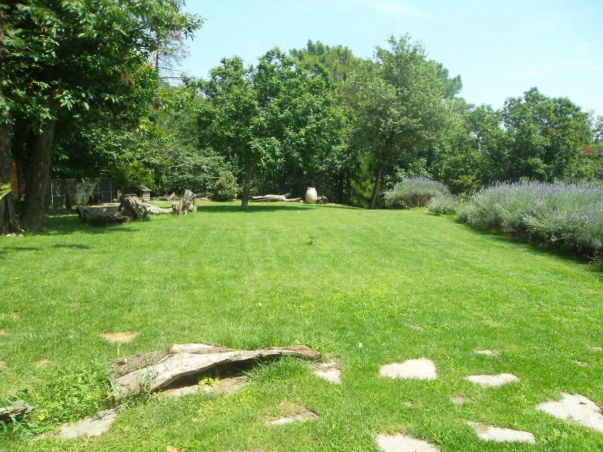 Casa vacanze ;Chaletsemi Di Crescita 295S Hotel Calice Ligure Italia